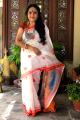 Divine Aura Cotton Saree